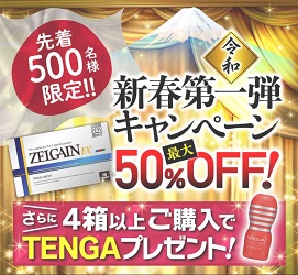 ゼルゲインEX ZELGAIN EX